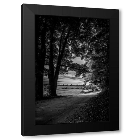 Jenne Farm Tree Tunnel Black Modern Wood Framed Art Print by Rowland, Joseph