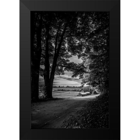 Jenne Farm Tree Tunnel Black Modern Wood Framed Art Print by Rowland, Joseph