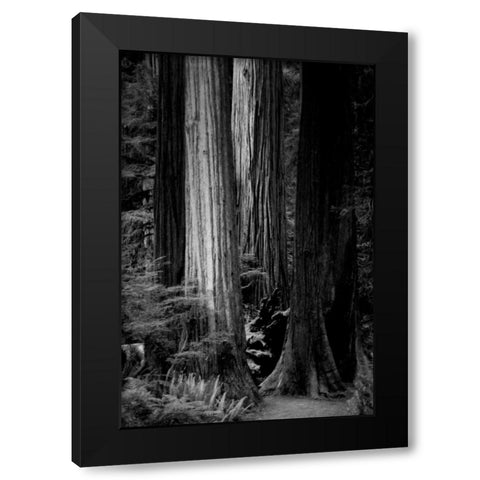 Silence Black Modern Wood Framed Art Print by Rowland, Joseph