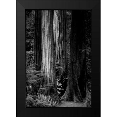Silence Black Modern Wood Framed Art Print by Rowland, Joseph