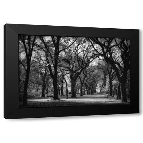 The Mall Black Modern Wood Framed Art Print with Double Matting by Rowland, Joseph