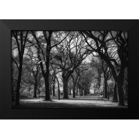 The Mall Black Modern Wood Framed Art Print by Rowland, Joseph