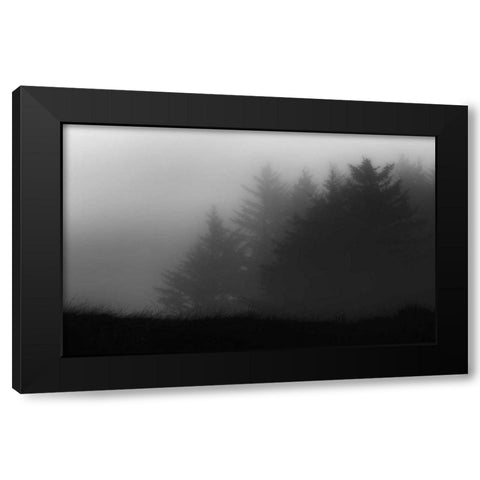 Trees In Fog Black Modern Wood Framed Art Print with Double Matting by Rowland, Joseph