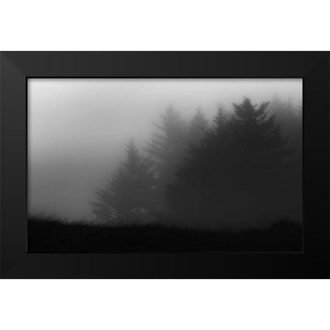 Trees In Fog Black Modern Wood Framed Art Print by Rowland, Joseph
