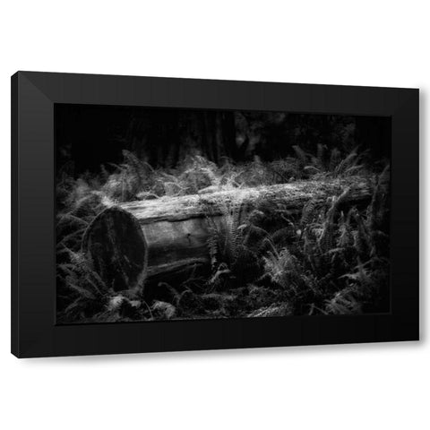 Fallen Black Modern Wood Framed Art Print by Rowland, Joseph