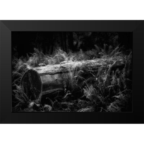 Fallen Black Modern Wood Framed Art Print by Rowland, Joseph