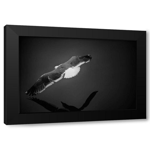 Flight Black Modern Wood Framed Art Print with Double Matting by Rowland, Joseph
