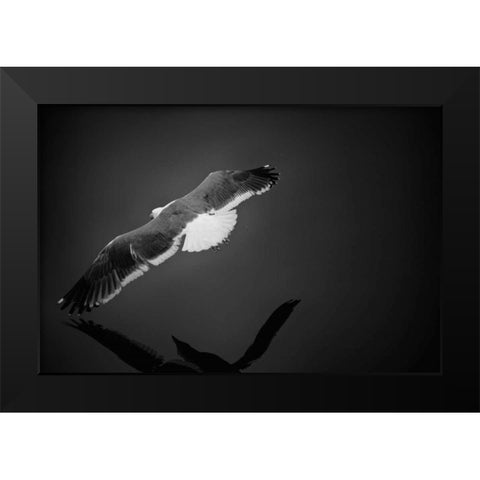 Flight Black Modern Wood Framed Art Print by Rowland, Joseph