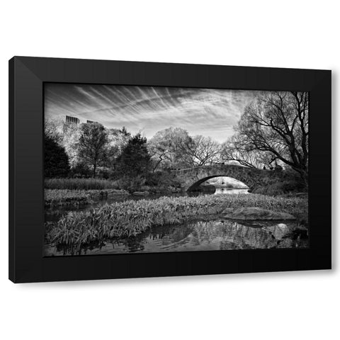 Magic Of Central Park Black Modern Wood Framed Art Print by Rowland, Joseph