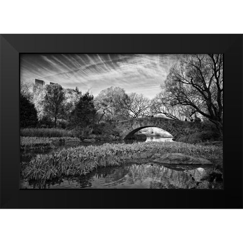 Magic Of Central Park Black Modern Wood Framed Art Print by Rowland, Joseph