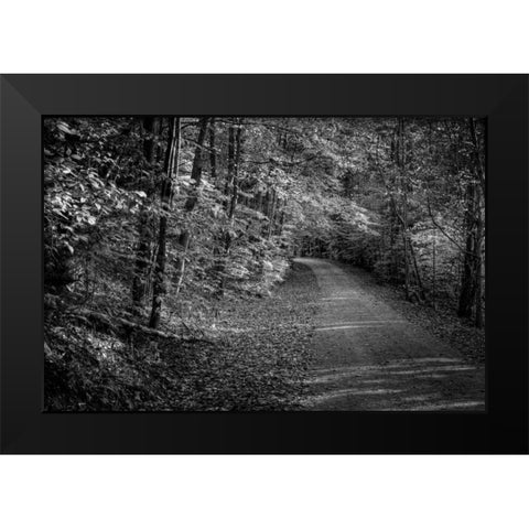 Bend In The Road Black Modern Wood Framed Art Print by Rowland, Joseph