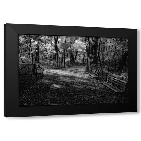 Quiet Path Black Modern Wood Framed Art Print with Double Matting by Rowland, Joseph