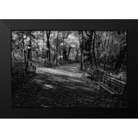 Quiet Path Black Modern Wood Framed Art Print by Rowland, Joseph