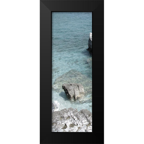 Hidden Paradise Black Modern Wood Framed Art Print by Lewis, Sheldon