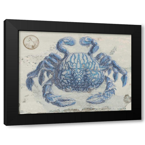 Mysterious Crustacean Black Modern Wood Framed Art Print with Double Matting by Lewis, Sheldon
