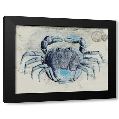 Mysterious Crustacean 2 Black Modern Wood Framed Art Print with Double Matting by Lewis, Sheldon