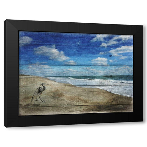 Coastal 1 Black Modern Wood Framed Art Print with Double Matting by Lewis, Sheldon