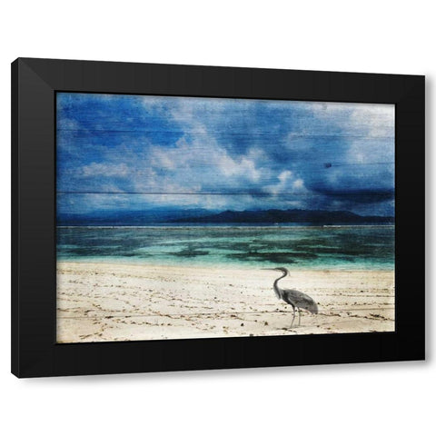 Coastal 2 Black Modern Wood Framed Art Print with Double Matting by Lewis, Sheldon
