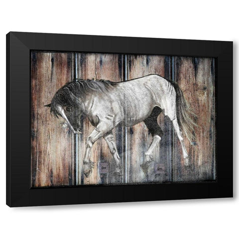 Farm Horse Black Modern Wood Framed Art Print with Double Matting by Lewis, Sheldon