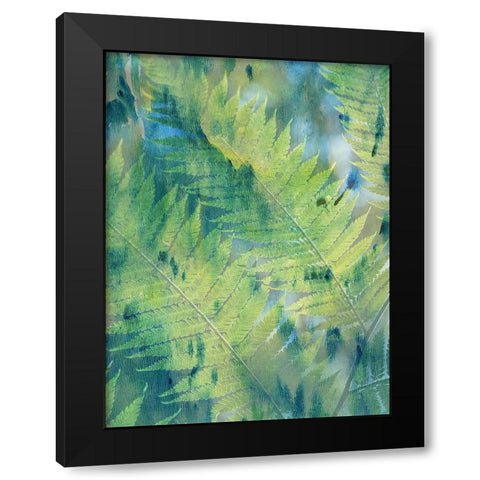 Deep In TheTropic Black Modern Wood Framed Art Print with Double Matting by Lewis, Sheldon