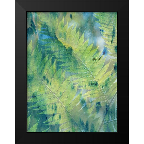 Deep In TheTropic Black Modern Wood Framed Art Print by Lewis, Sheldon