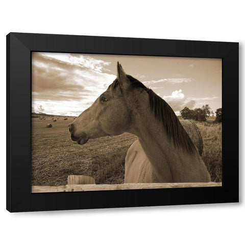 Ranch Black Modern Wood Framed Art Print with Double Matting by Lewis, Sheldon
