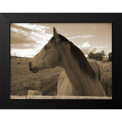 Ranch Black Modern Wood Framed Art Print by Lewis, Sheldon