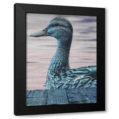Aqua Duck Black Modern Wood Framed Art Print with Double Matting by Lewis, Sheldon