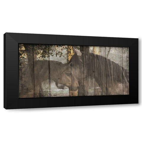 Love On The Ranch Black Modern Wood Framed Art Print with Double Matting by Lewis, Sheldon