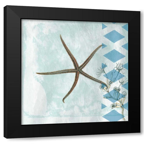 Tranquility 2 Black Modern Wood Framed Art Print with Double Matting by Lewis, Sheldon