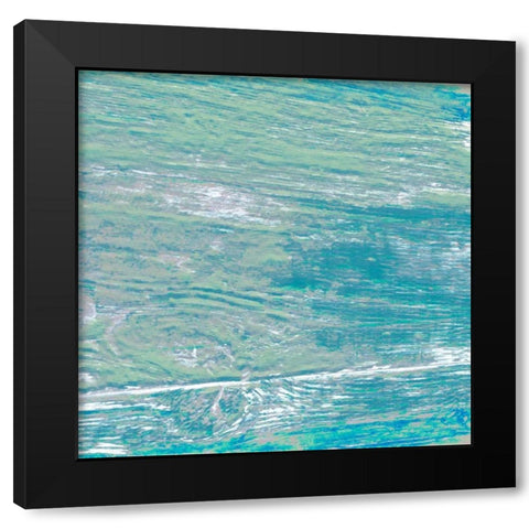 Taste The Tropics Black Modern Wood Framed Art Print with Double Matting by Lewis, Sheldon