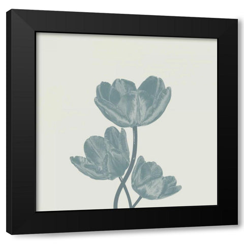 Pure 1 Black Modern Wood Framed Art Print with Double Matting by Lewis, Sheldon