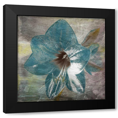 Vibrany Lily Black Modern Wood Framed Art Print with Double Matting by Lewis, Sheldon