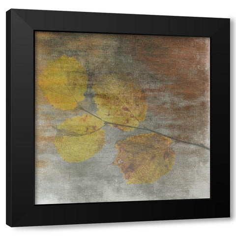 A Moment With Nature 2 Black Modern Wood Framed Art Print with Double Matting by Lewis, Sheldon