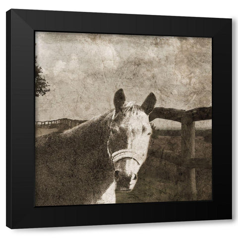Riding West Black Modern Wood Framed Art Print with Double Matting by Lewis, Sheldon