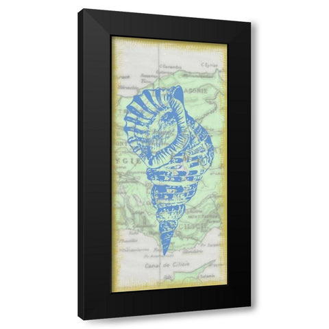 Shell Black Modern Wood Framed Art Print with Double Matting by Greene, Taylor