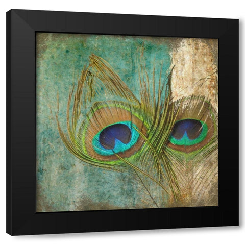 Peacock 2 Black Modern Wood Framed Art Print with Double Matting by Greene, Taylor
