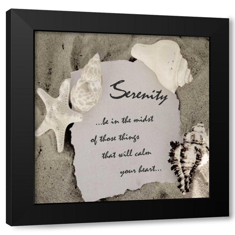 Shell Group 1 Black Modern Wood Framed Art Print with Double Matting by Greene, Taylor