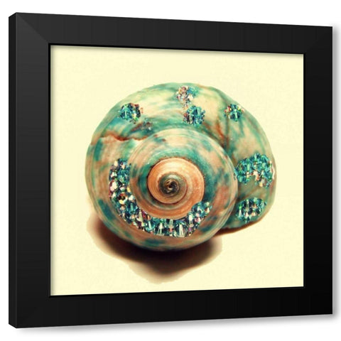 Jeweled Shell 1 Black Modern Wood Framed Art Print with Double Matting by Greene, Taylor