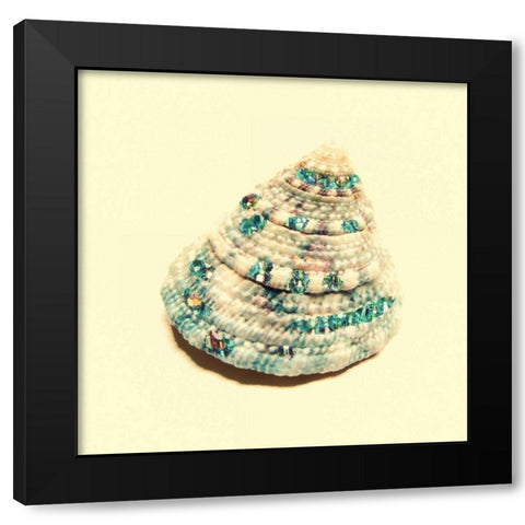 Jeweled Shell 2 Black Modern Wood Framed Art Print with Double Matting by Greene, Taylor