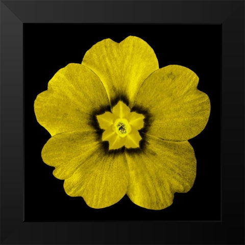 Sepia Floral I Black Modern Wood Framed Art Print by Greene, Taylor