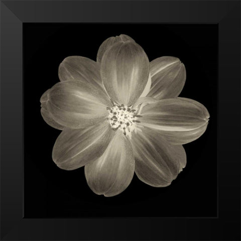 Sepia Floral III Black Modern Wood Framed Art Print by Greene, Taylor