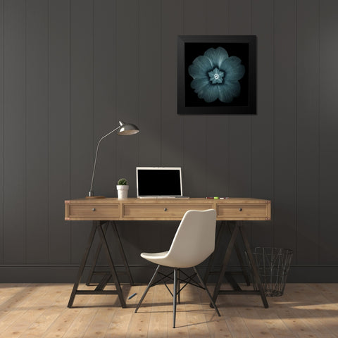 Daylight Floral I Black Modern Wood Framed Art Print by Greene, Taylor