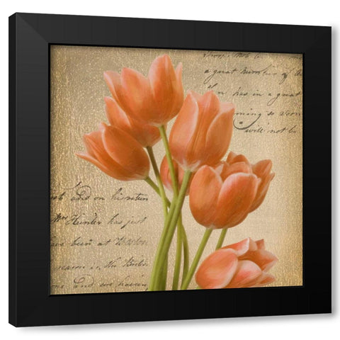 ORANGE TULIP I ON GOLD Black Modern Wood Framed Art Print with Double Matting by Greene, Taylor