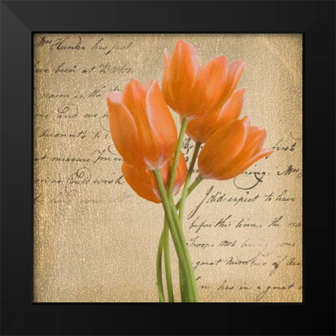 ORANGE TULIP II ON GOLD Black Modern Wood Framed Art Print by Greene, Taylor