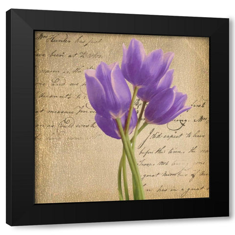 PURPLE TULIP II ON GOLD Black Modern Wood Framed Art Print by Greene, Taylor
