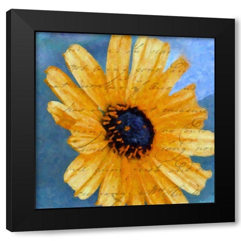 SCRIPTED WILD SUNFLOWER I Black Modern Wood Framed Art Print with Double Matting by Greene, Taylor
