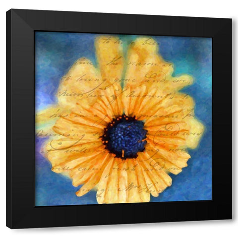 SCRIPTED WILD SUNFLOWER II Black Modern Wood Framed Art Print with Double Matting by Greene, Taylor