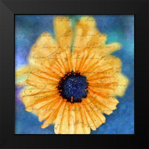 SCRIPTED WILD SUNFLOWER II Black Modern Wood Framed Art Print by Greene, Taylor
