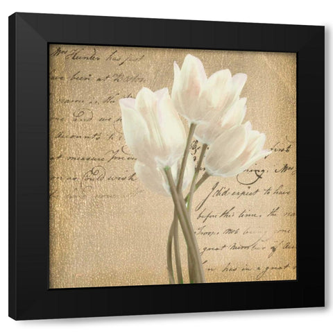 WHITE TULIP ON GOLD Black Modern Wood Framed Art Print with Double Matting by Greene, Taylor